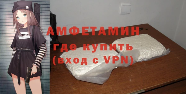 ГАЛЛЮЦИНОГЕННЫЕ ГРИБЫ Богданович