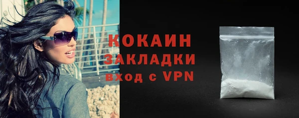 ГАЛЛЮЦИНОГЕННЫЕ ГРИБЫ Богданович