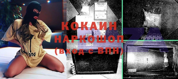ГАЛЛЮЦИНОГЕННЫЕ ГРИБЫ Богданович