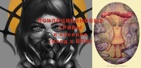 ешки Белокуриха