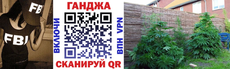 где купить   Северодвинск  OMG маркетплейс  Шишки марихуана THC 21% 